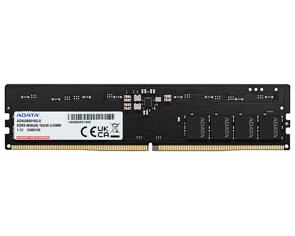 Memoria RAM Adata AD5U56008G-S
